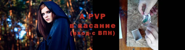 прущие крисы Рославль