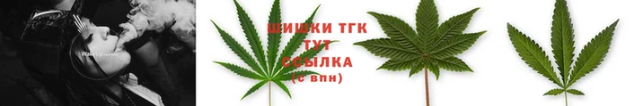 прущие крисы Рославль