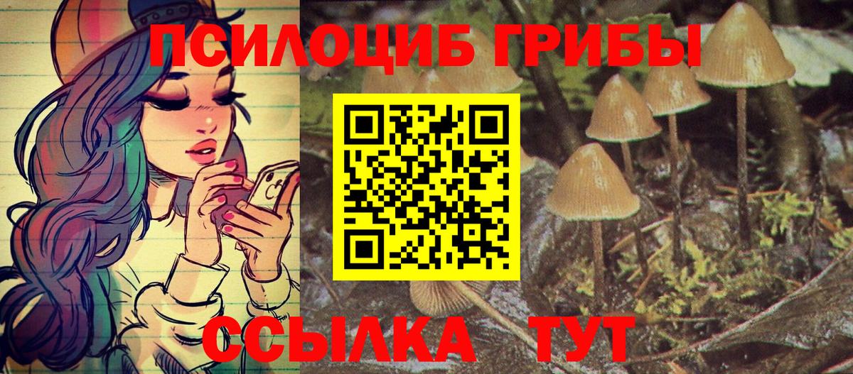 Псилоцибиновые грибы GOLDEN TEACHER Алатырь