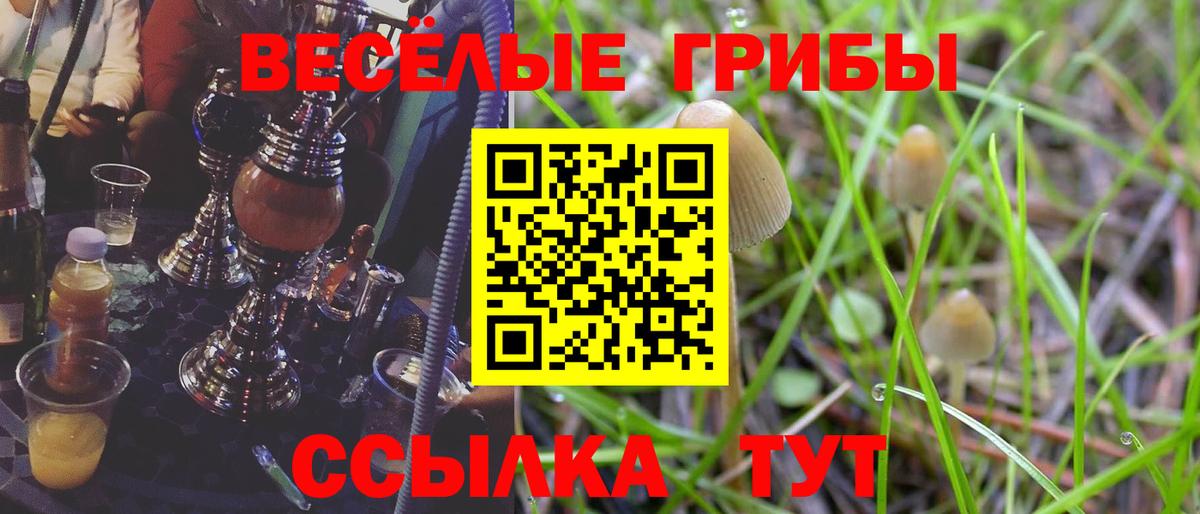 Галлюциногенные грибы MAGIC MUSHROOMS Алатырь